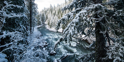 Oregon's Best Winter Waterfalls | Featured Adventure