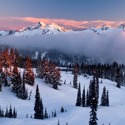 Amazing Snowshoe Trails in Washington | Featured Adventure